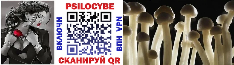 Галлюциногенные грибы мицелий  Купить  Красково 